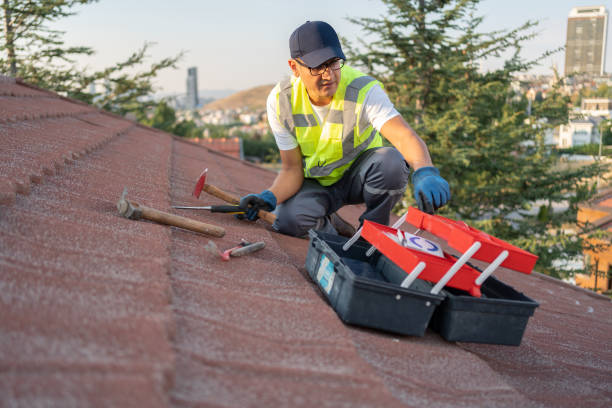 Best Stucco Siding  in Honesdale, PA